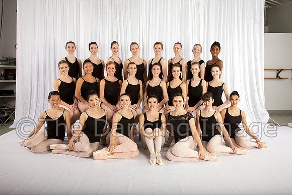 CPA Senior Company-2893