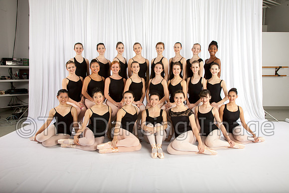 CPA Senior Company-2901