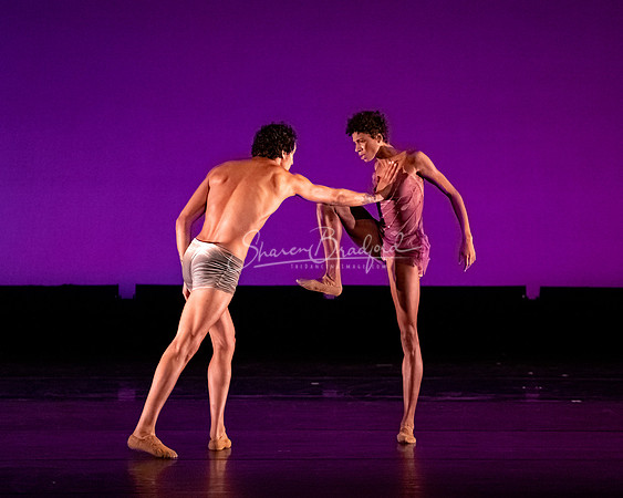 Art Songs Pas de Deux pc Sharen Bradford-41197