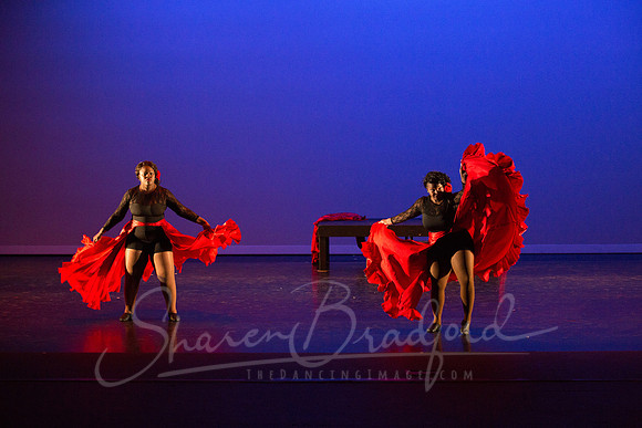 Bajo la Tormenta pc Sharen Bradford-0255