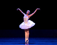 Dying Swan pc Sharen Bradford-1172