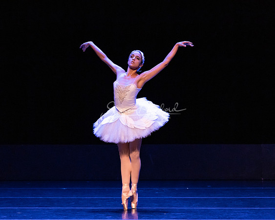 Dying Swan pc Sharen Bradford-1172