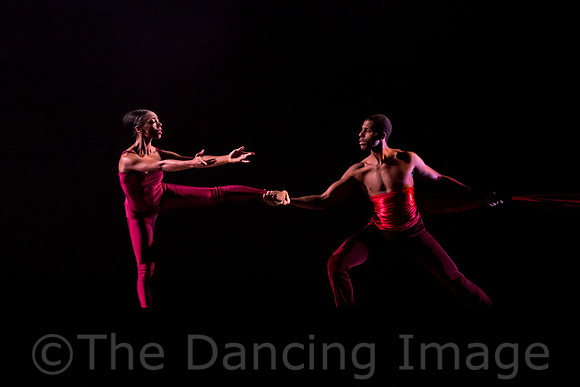DBDT Encore-8676