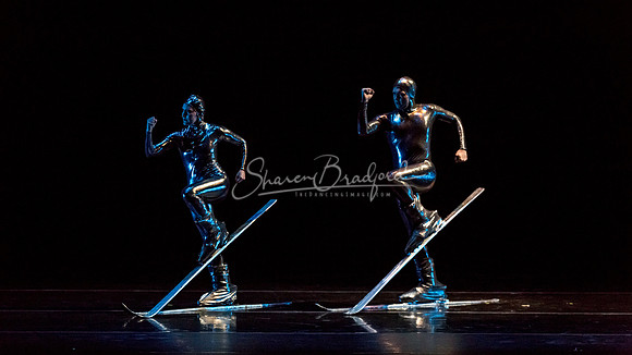 Millennium Skiva pc Sharen Bradford-8482