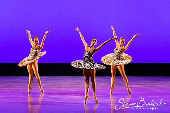 Ballet 37 pc Sharen Bradford-0239