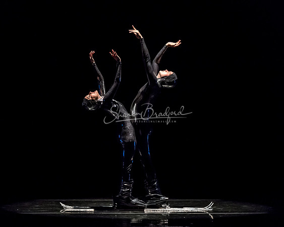 Millennium Skiva pc Sharen Bradford-8566