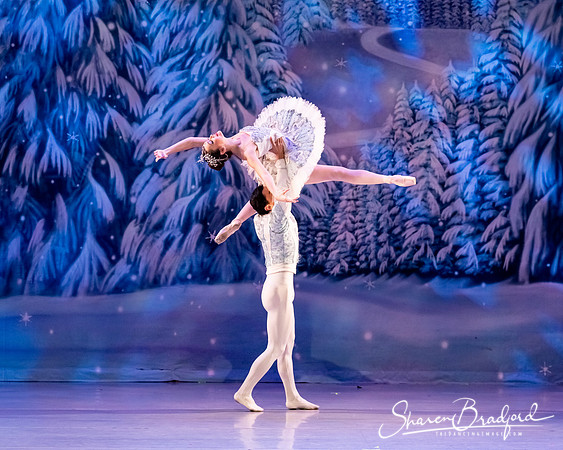 CCBT Nutcracker 19 pc Sharen Bradford-4869