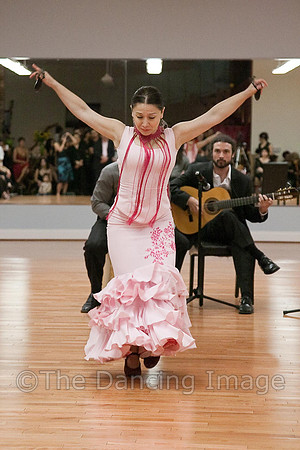 Flamenco-2-68
