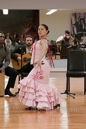 Flamenco-2-71