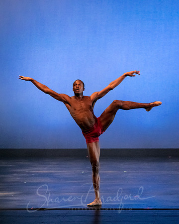 DBDT Encore pc Sharen Bradford-5132