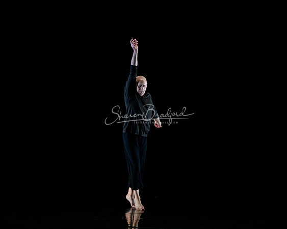 Nocturne pc Sharen Bradford-0722