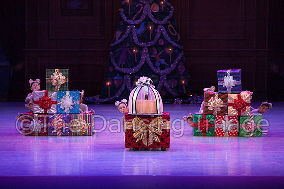 IMG_0588