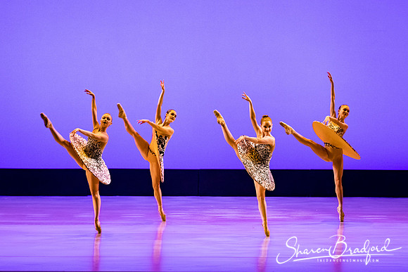 Ballet 37 pc Sharen Bradford-0358