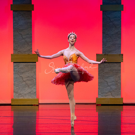 Ballet NTX Sleeping Beauty pc Sharen Bradford-0181