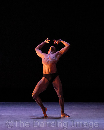 Alvin Ailey ADT-2287