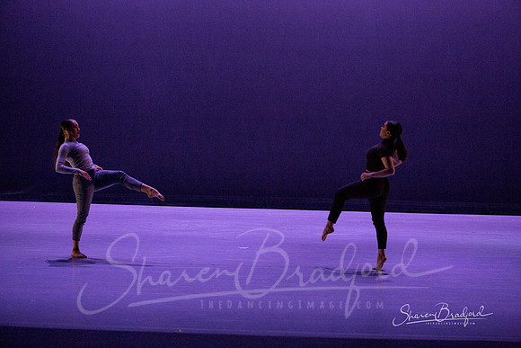 Lingering Shadow pc Sharen Bradford-7038