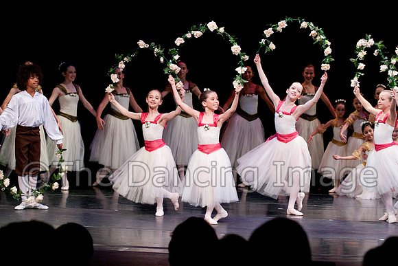 PCD-4556