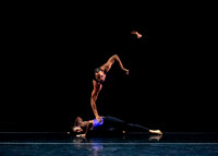 DBDT Execution of a Sentiment pc Sharen Bradford-0833
