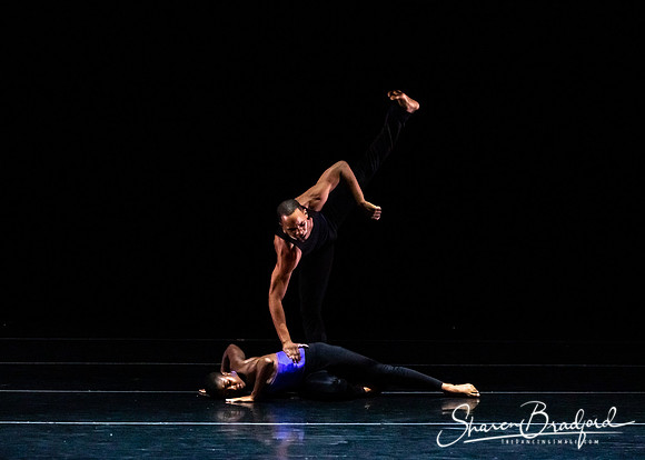 DBDT Execution of a Sentiment pc Sharen Bradford-0833
