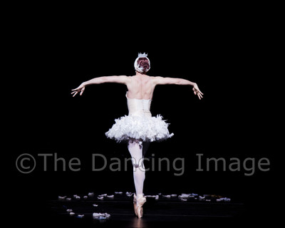 Dying Swan-0508