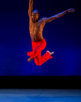 Alvin Ailey ADT-0036