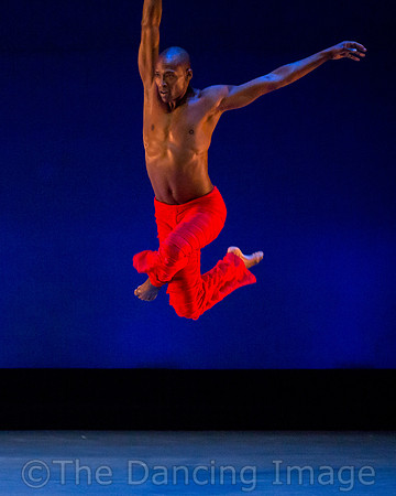 Alvin Ailey ADT-0036
