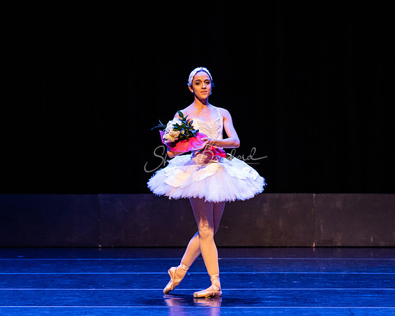 Dying Swan pc Sharen Bradford-1287