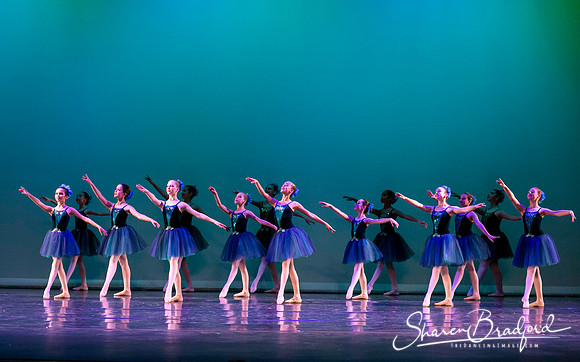 Khachaturian Waltz pc Sharen Bradford-3631