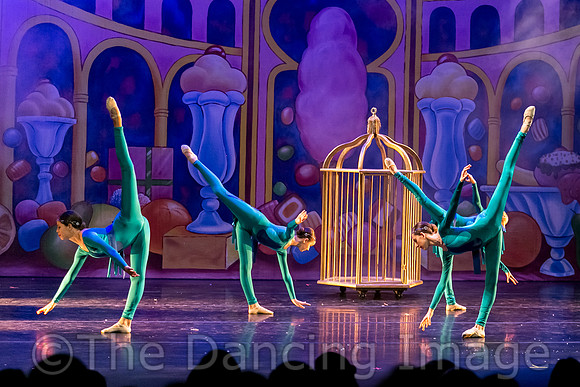 Royale Ballet Nutcracker-1801
