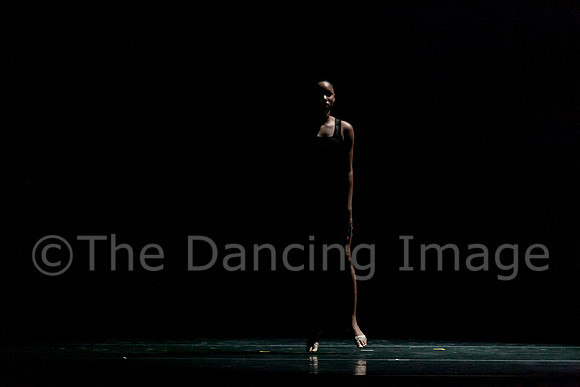 Beaumont Ballet Theatre-4577
