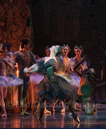 TB Sleeping Beauty Wed.-0501