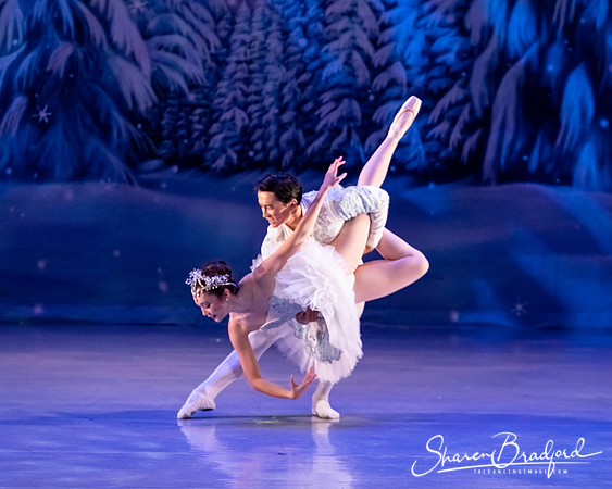CCBT Nutcracker 19 pc Sharen Bradford-4914