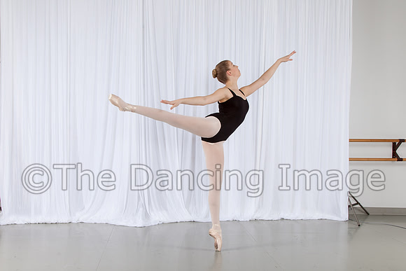 IMG_0411