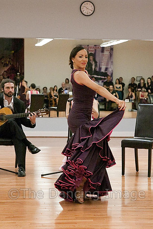Flamenco-2-13