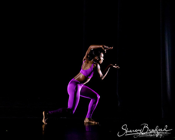 DBDT Execution of a Sentiment pc Sharen Bradford-0975