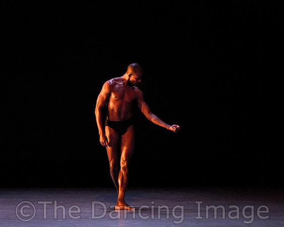 Alvin Ailey ADT-2263