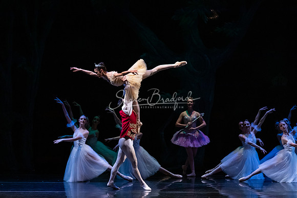 Ballet NTX Sleeping Beauty pc Sharen Bradford-1251