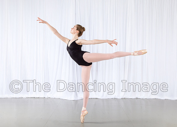 IMG_0029-Edit-Edit