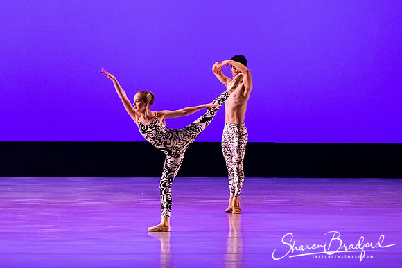 Ballet 37 pc Sharen Bradford-0427