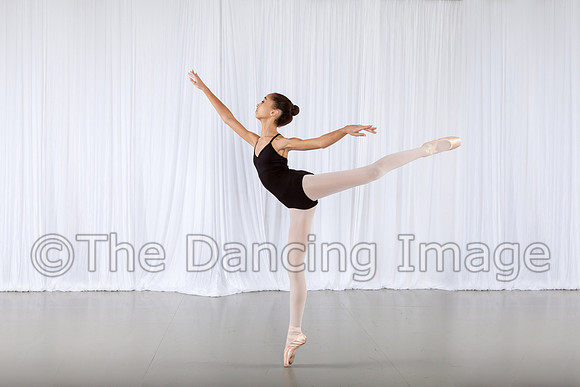 IMG_0230-Edit-Edit