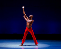 Alvin Ailey ADT-0050