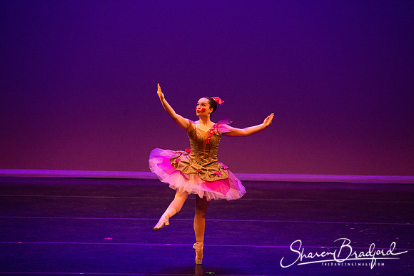 Clara's Dream 2019 pc Sharen Bradford-0057