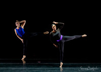 DBDT Execution of a Sentiment pc Sharen Bradford-0864