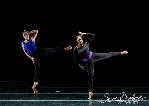 DBDT Execution of a Sentiment pc Sharen Bradford-0864