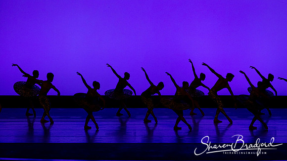 Ballet 37 pc Sharen Bradford-0206