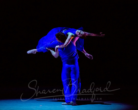 Following Echoes - pc Sharen Bradford-3476