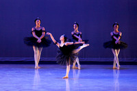 The Black Swans-3403