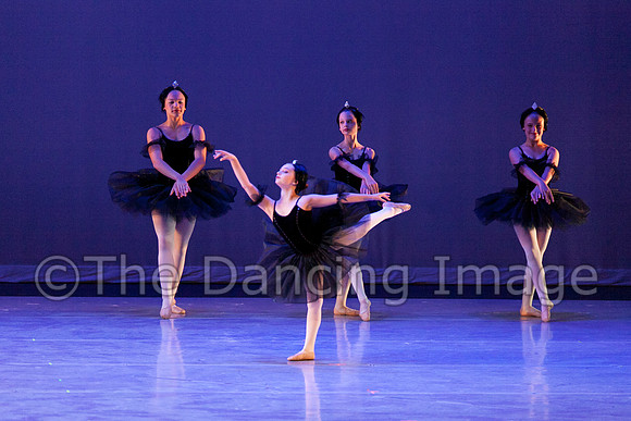 The Black Swans-3403