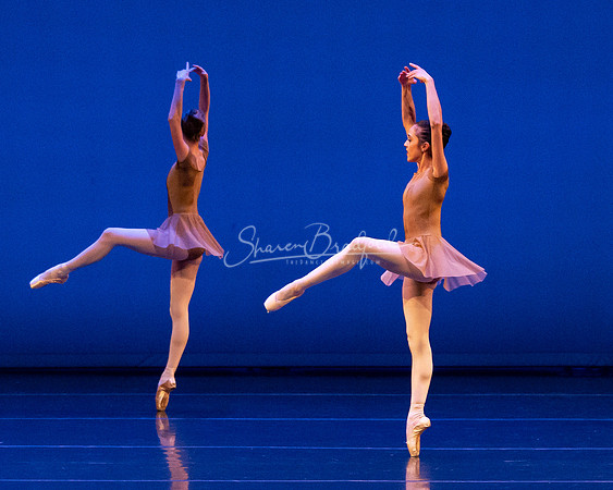 BNT Petit Symphonie pc Sharen Bradford-0272