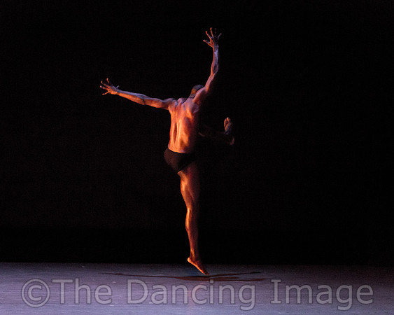 Alvin Ailey ADT-2251